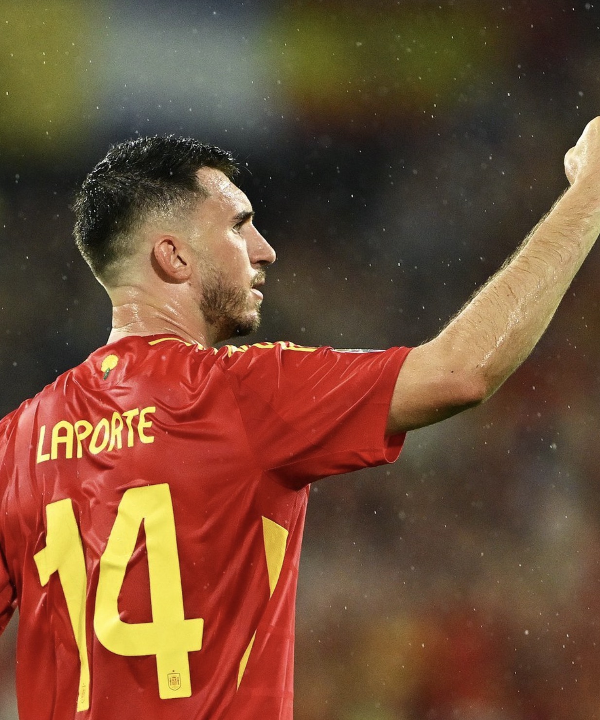 包含内维斯球员在场上发挥出色,最终夺得胜利的词条 包含内维斯球员在场上发挥出色,最终夺得胜利的词条